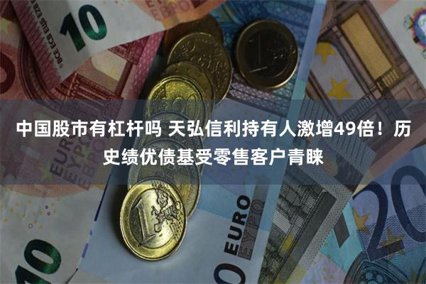 中国股市有杠杆吗 天弘信利持有人激增49倍！历史绩优债基受零售客户青睐