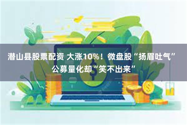 潜山县股票配资 大涨10%！微盘股“扬眉吐气” 公募量化却“笑不出来”