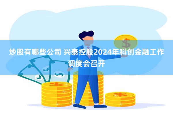 炒股有哪些公司 兴泰控股2024年科创金融工作调度会召开