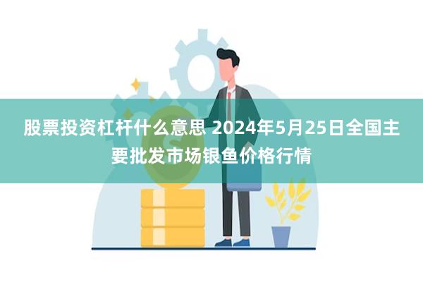 股票投资杠杆什么意思 2024年5月25日全国主要批发市场银鱼价格行情