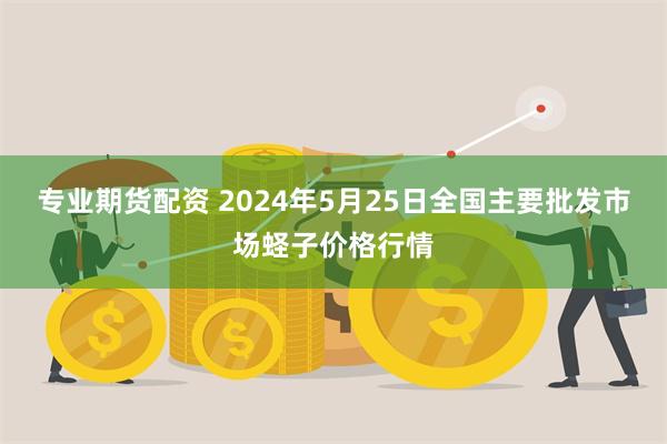 专业期货配资 2024年5月25日全国主要批发市场蛏子价格行情