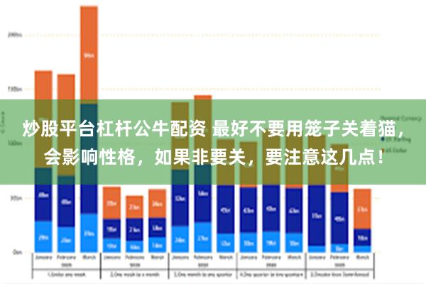 炒股平台杠杆公牛配资 最好不要用笼子关着猫，会影响性格，如果非要关，要注意这几点！