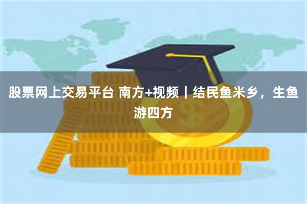 股票网上交易平台 南方+视频｜结民鱼米乡，生鱼游四方