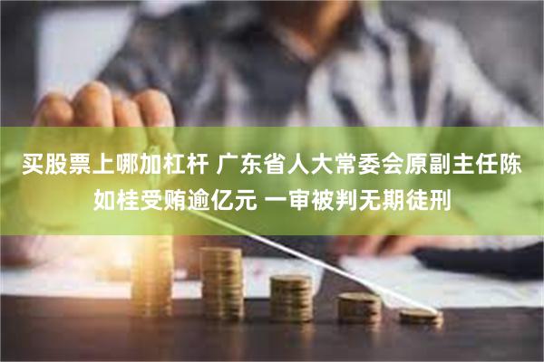 买股票上哪加杠杆 广东省人大常委会原副主任陈如桂受贿逾亿元 一审被判无期徒刑