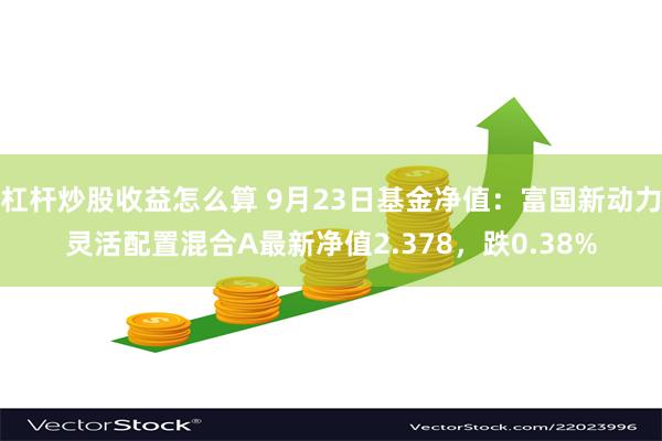 杠杆炒股收益怎么算 9月23日基金净值：富国新动力灵活配置混合A最新净值2.378，跌0.38%