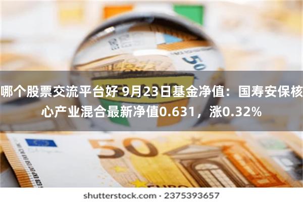 哪个股票交流平台好 9月23日基金净值：国寿安保核心产业混合最新净值0.631，涨0.32%