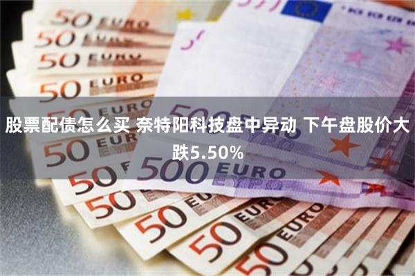 股票配债怎么买 奈特阳科技盘中异动 下午盘股价大跌5.50%