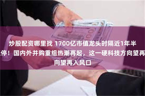 炒股配资哪里找 1700亿市值龙头时隔近1年半再度涨停！国内外并购重组热潮再起，这一硬科技方向望再入风口