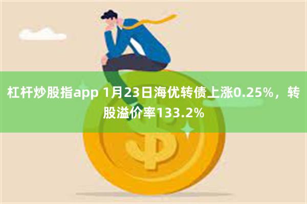 杠杆炒股指app 1月23日海优转债上涨0.25%，转股溢价率133.2%