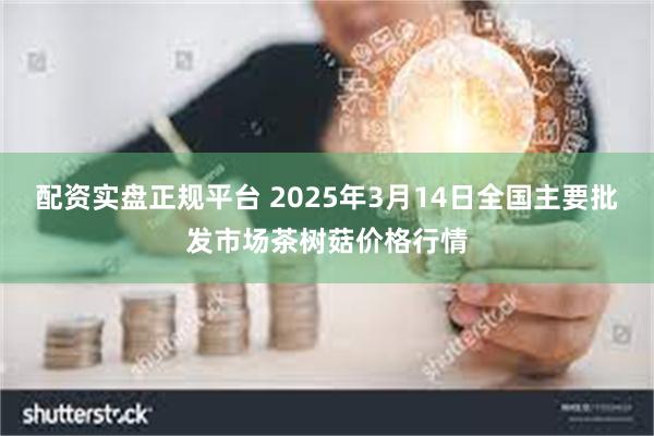 配资实盘正规平台 2025年3月14日全国主要批发市场茶树菇价格行情